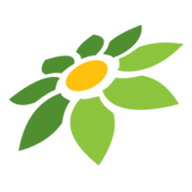 SSIS 816
